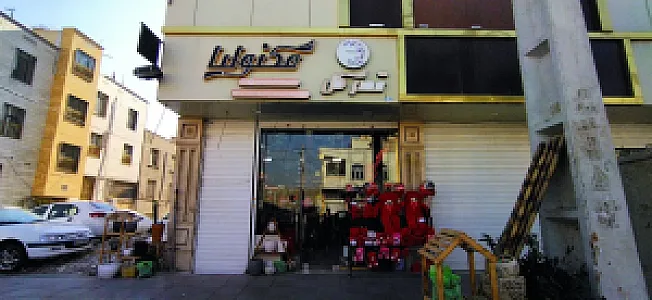 قصر گل مگنولیا