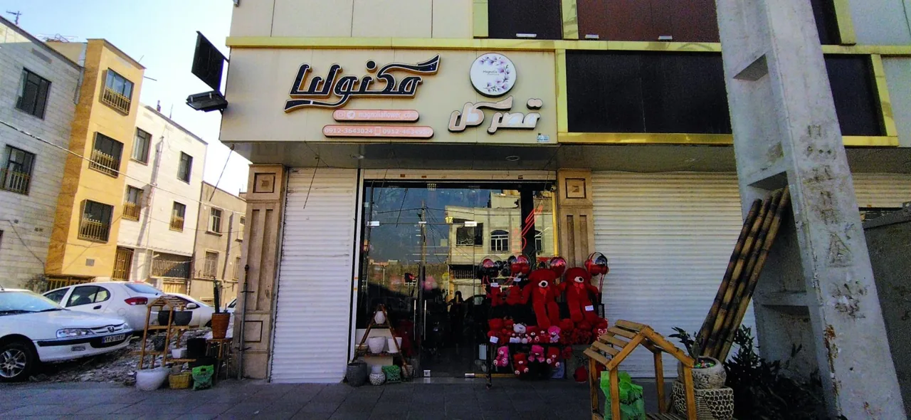 قصر گل مگنولیا