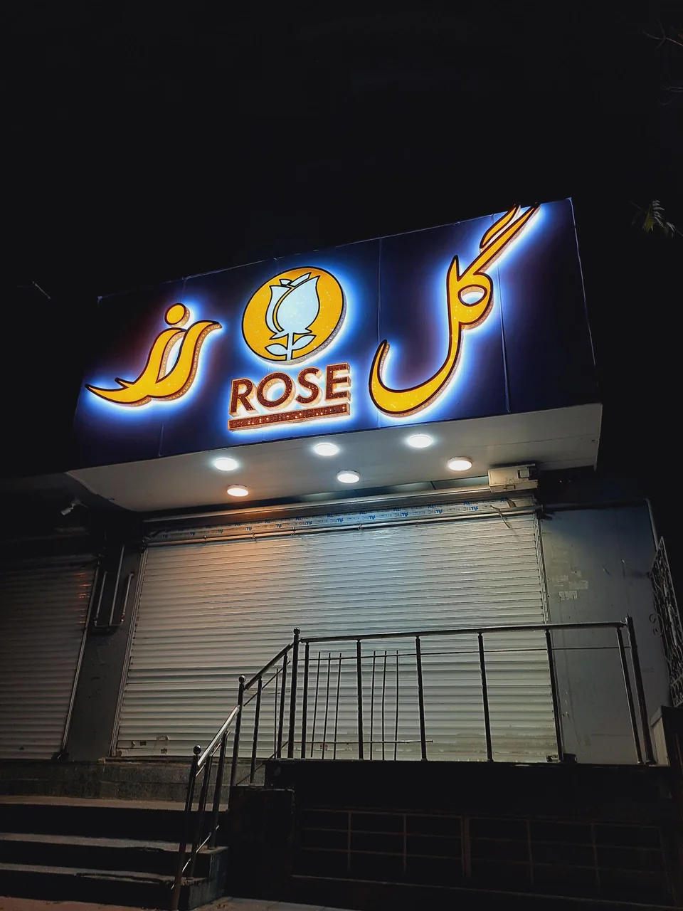 گل رز