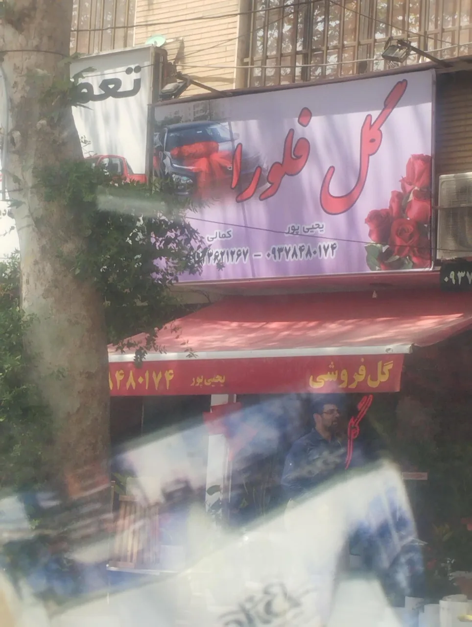 شکوفه سرای فلورا - تصویر 2