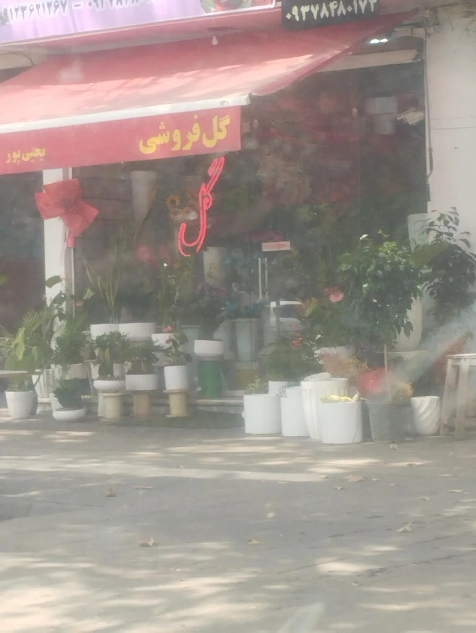 شکوفه سرای فلورا - تصویر 3