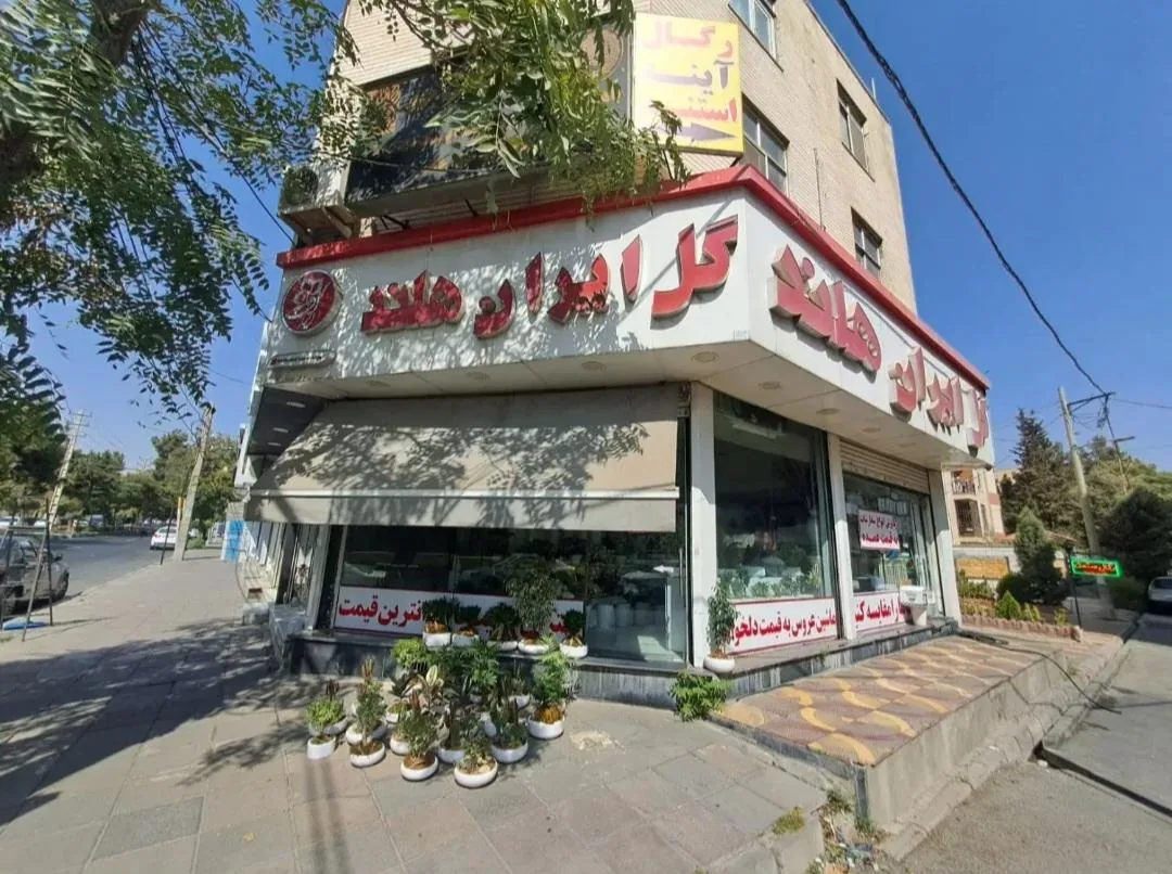 گل فروشی ایران هلند