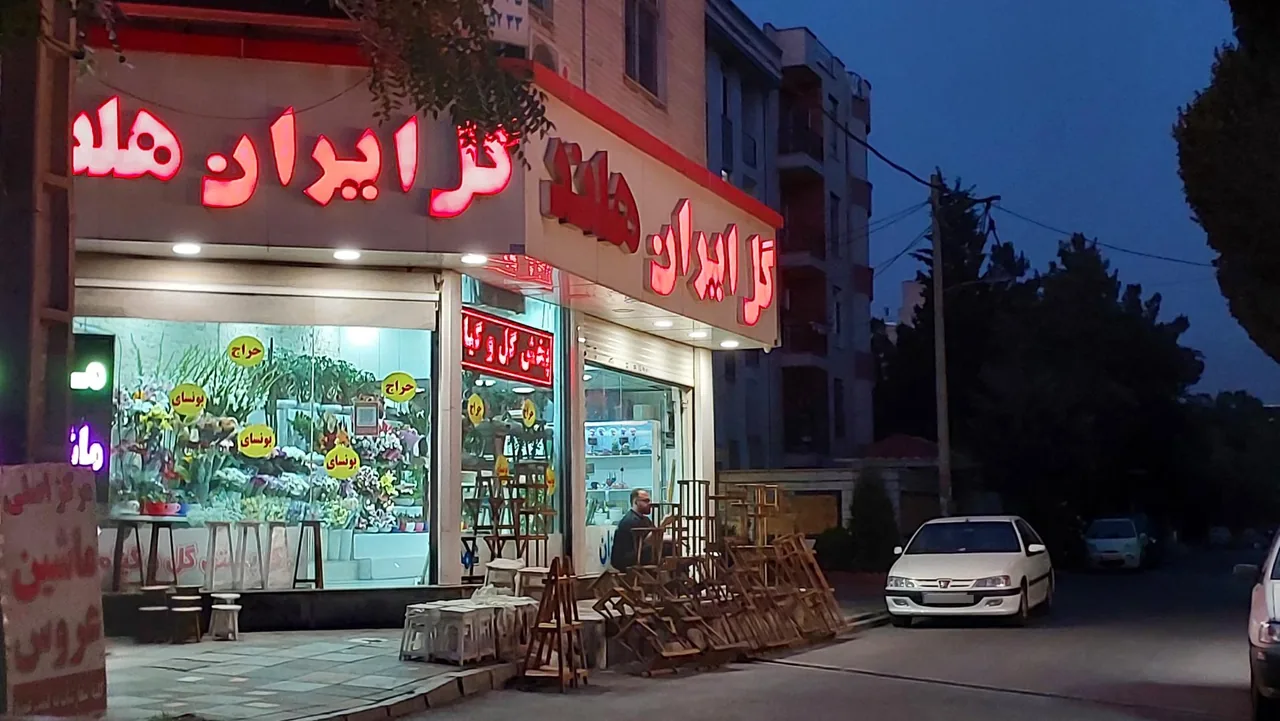 گل فروشی ایران هلند - تصویر 2