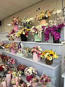 آقای گل