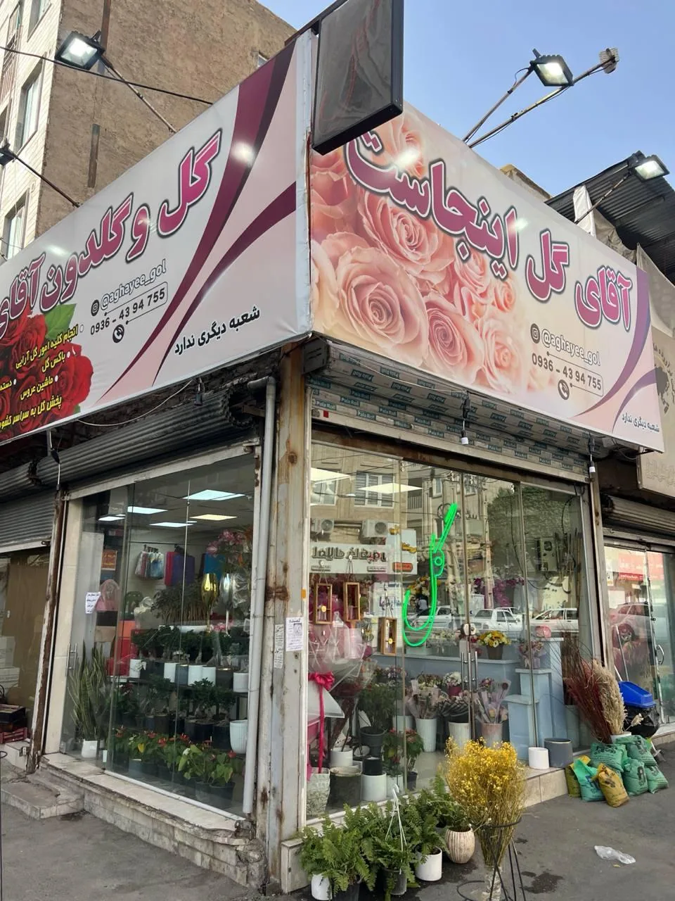 آقای گل - تصویر 2