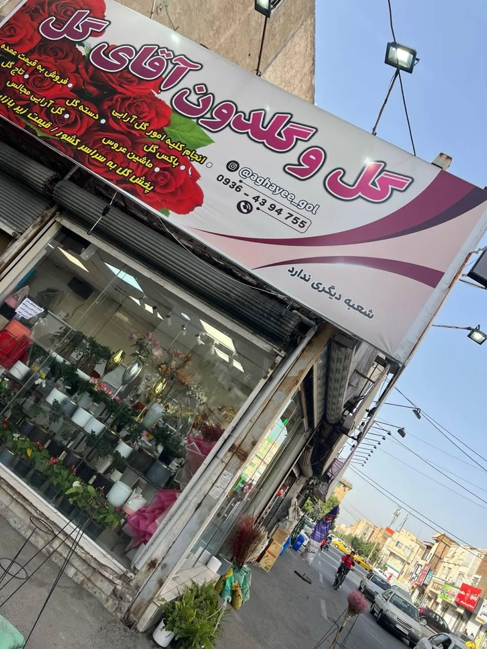 آقای گل - تصویر 3