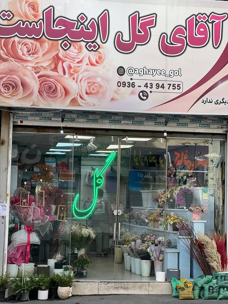آقای گل - تصویر 4
