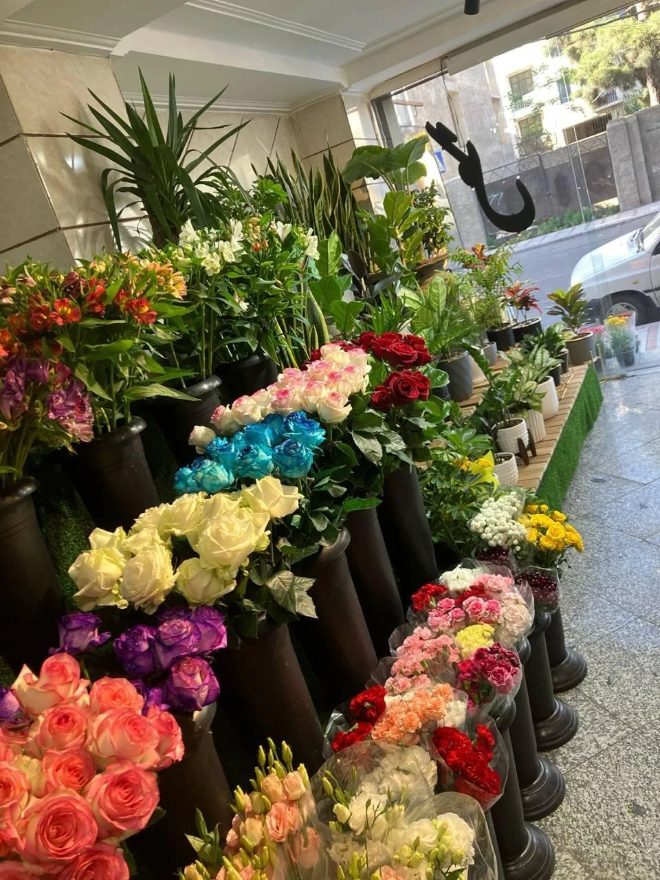گل فروشی فلورنس - تصویر 3