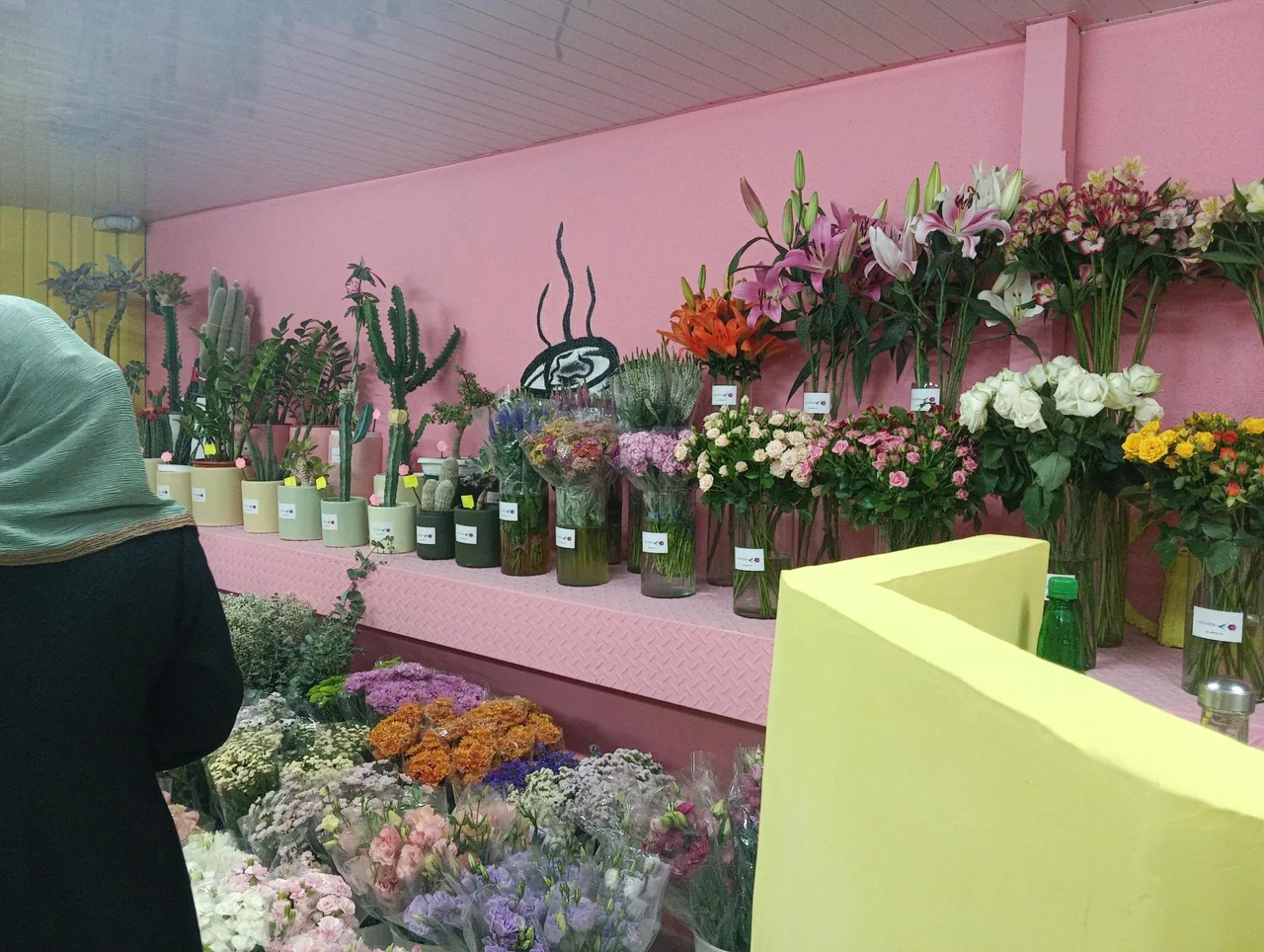 گل سرای گالریا - تصویر 2