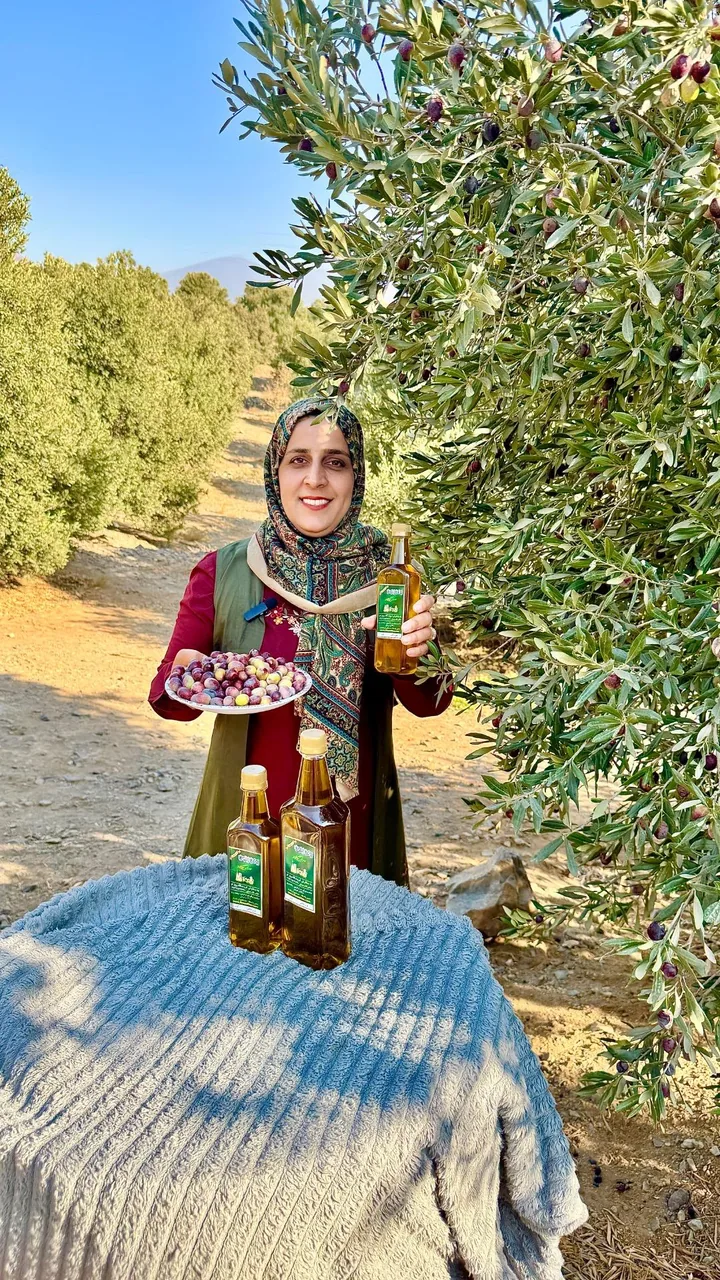 فروشگاه روزنو - تصویر 4