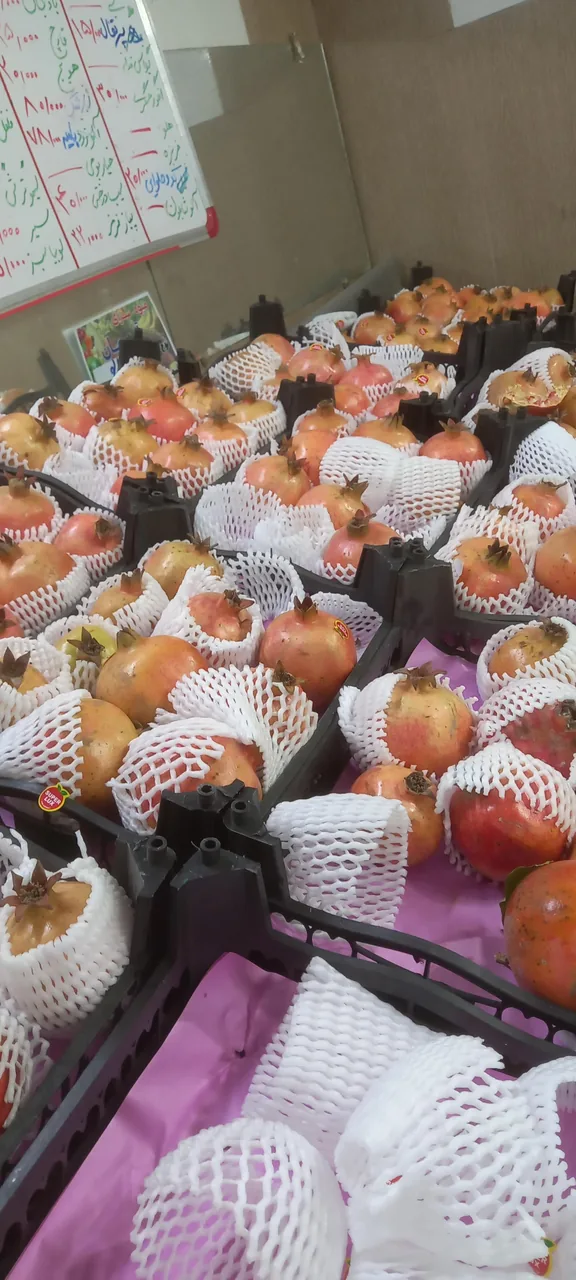 میوه فروشی و تره بار ۱۹ بهمن - تصویر 5