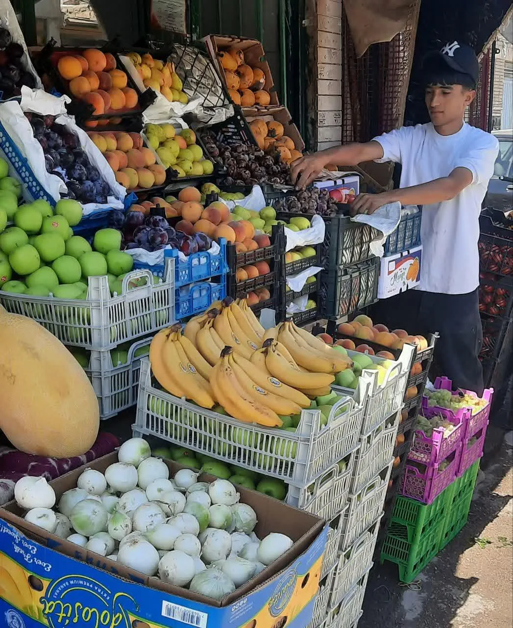 هایپر میوه عطا ساعدی - تصویر 4