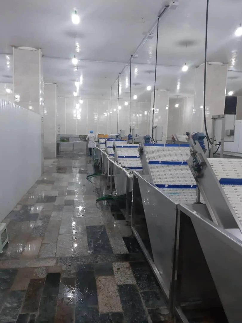 سبزیجات خشک هودکا - تصویر 3