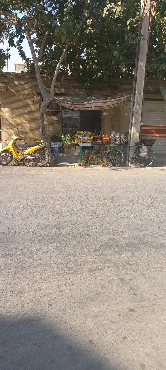 میوه فروشی کیانی - تصویر 2