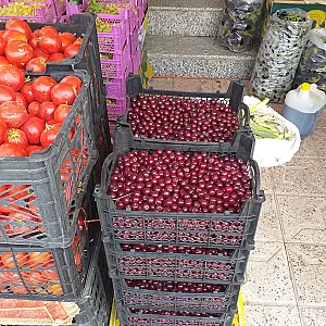 میوه و سبزیجات زمانی