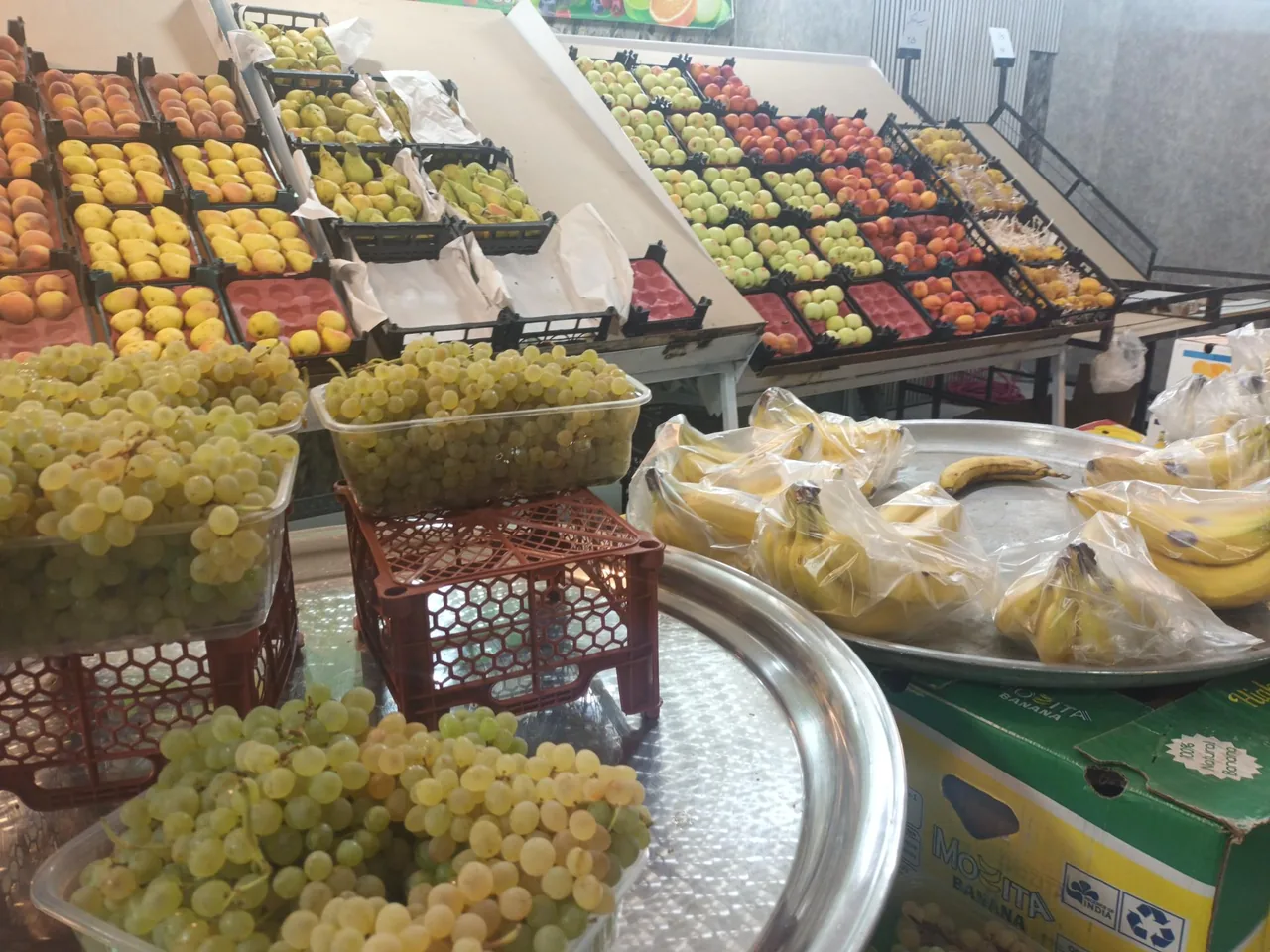میوه سرای اشراق - تصویر 4