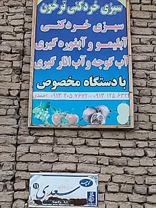 سبزی خردکنی ترخون