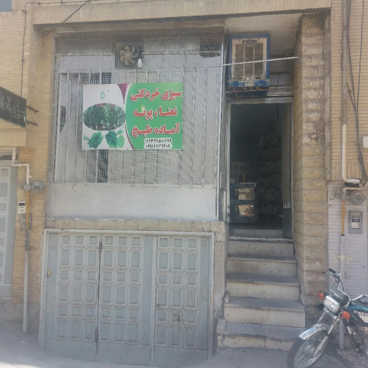 سبزی آماده نعنا پونه