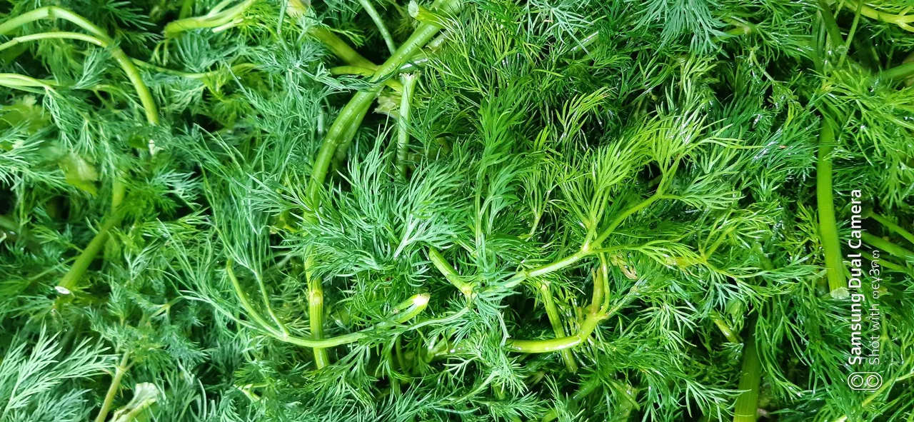سبزیجات آماده طبخ گلستان سبز - تصویر 3