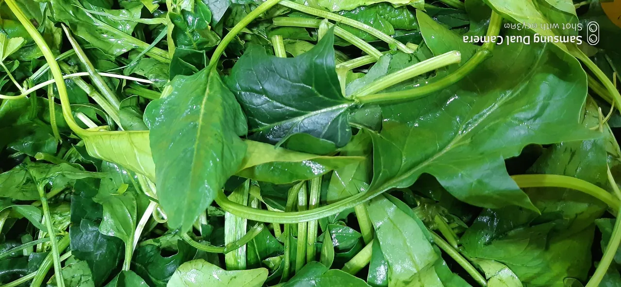 سبزیجات آماده طبخ گلستان سبز - تصویر 4
