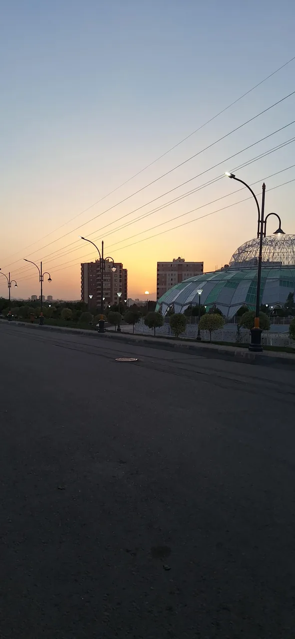 باغ ارغوان - تصویر 2