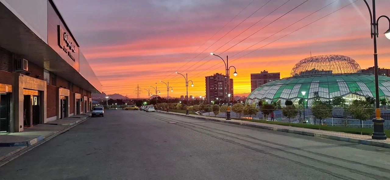 باغ ارغوان - تصویر 3