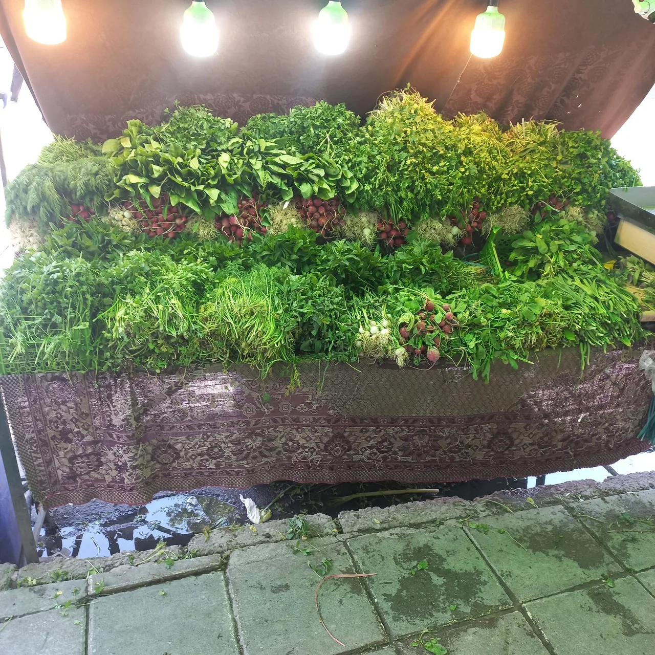 میوه سرای نرخ شکن نعمتی - تصویر 2