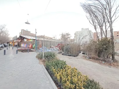 گل سرای خرم