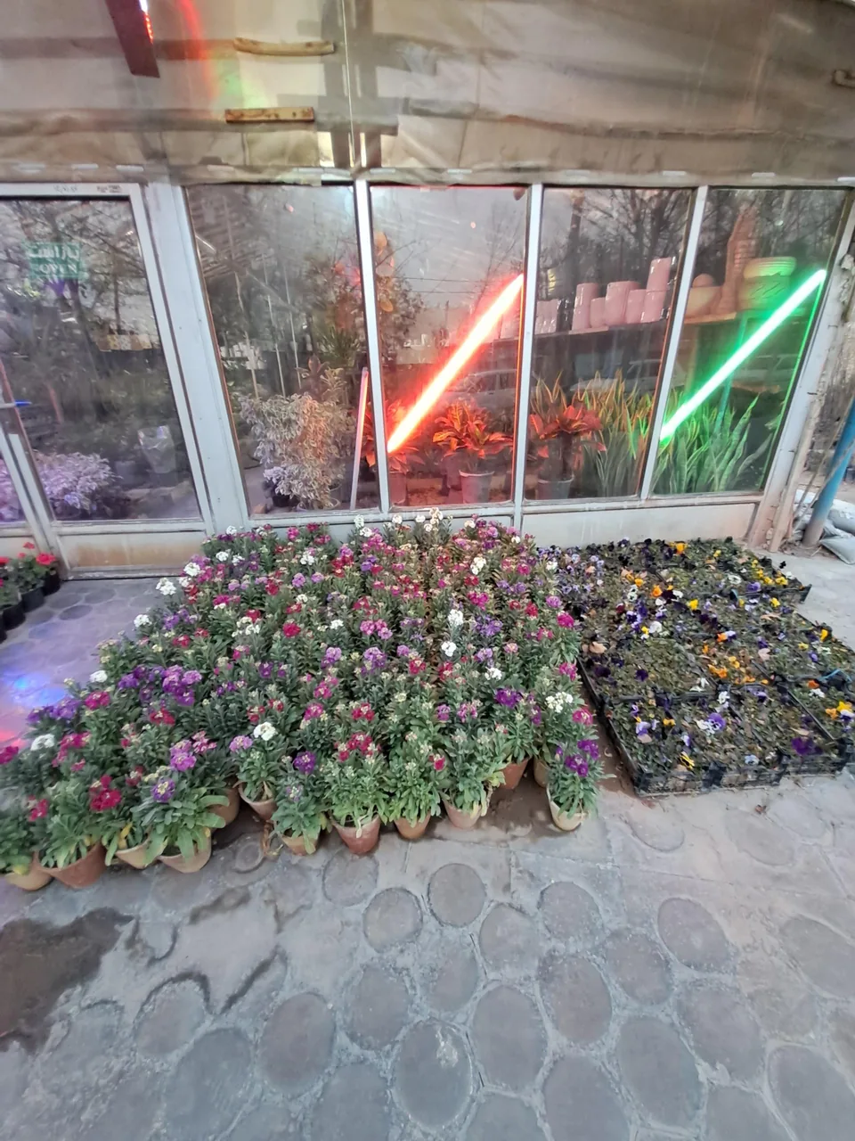 گل سرای خرم - تصویر 2