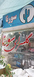 گلخانه کاکتوس سورنا