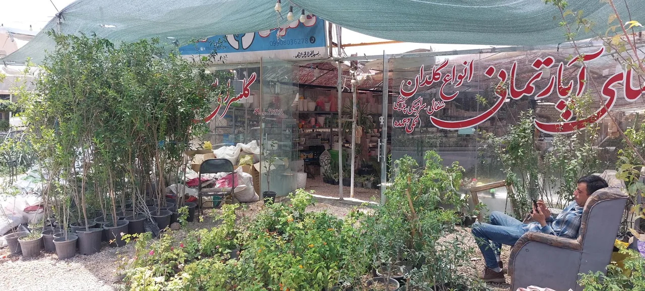 گلخانه کاکتوس سورنا - تصویر 2