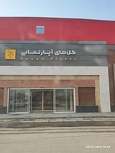 سالن گلهای آپارتمانی