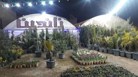 گلخانه گلشن(ناندینا)