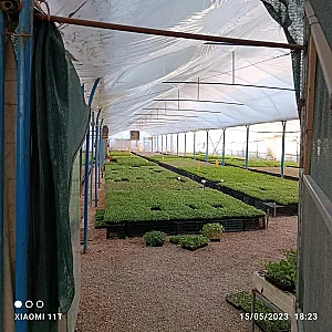 گلخانه ذوالفقاری