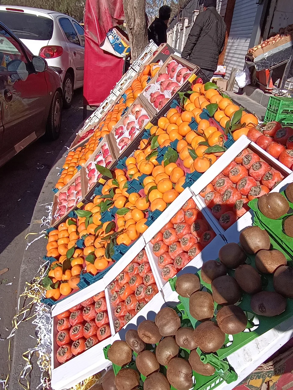میوه تره‌بار هاوین - تصویر 4