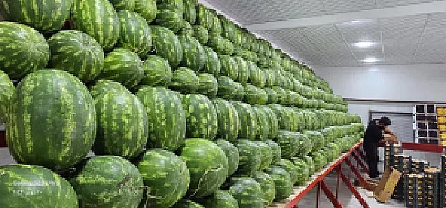 سوپر میوه لوکس آرین