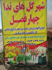 گلخانه شهر گلهای ندا