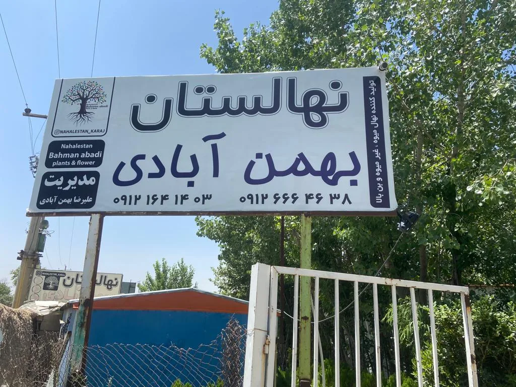 نهالستان بهمن آبادی (شعبه اصلی) - تصویر 2
