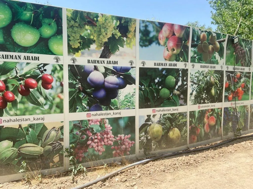 نهالستان بهمن آبادی (شعبه اصلی) - تصویر 5