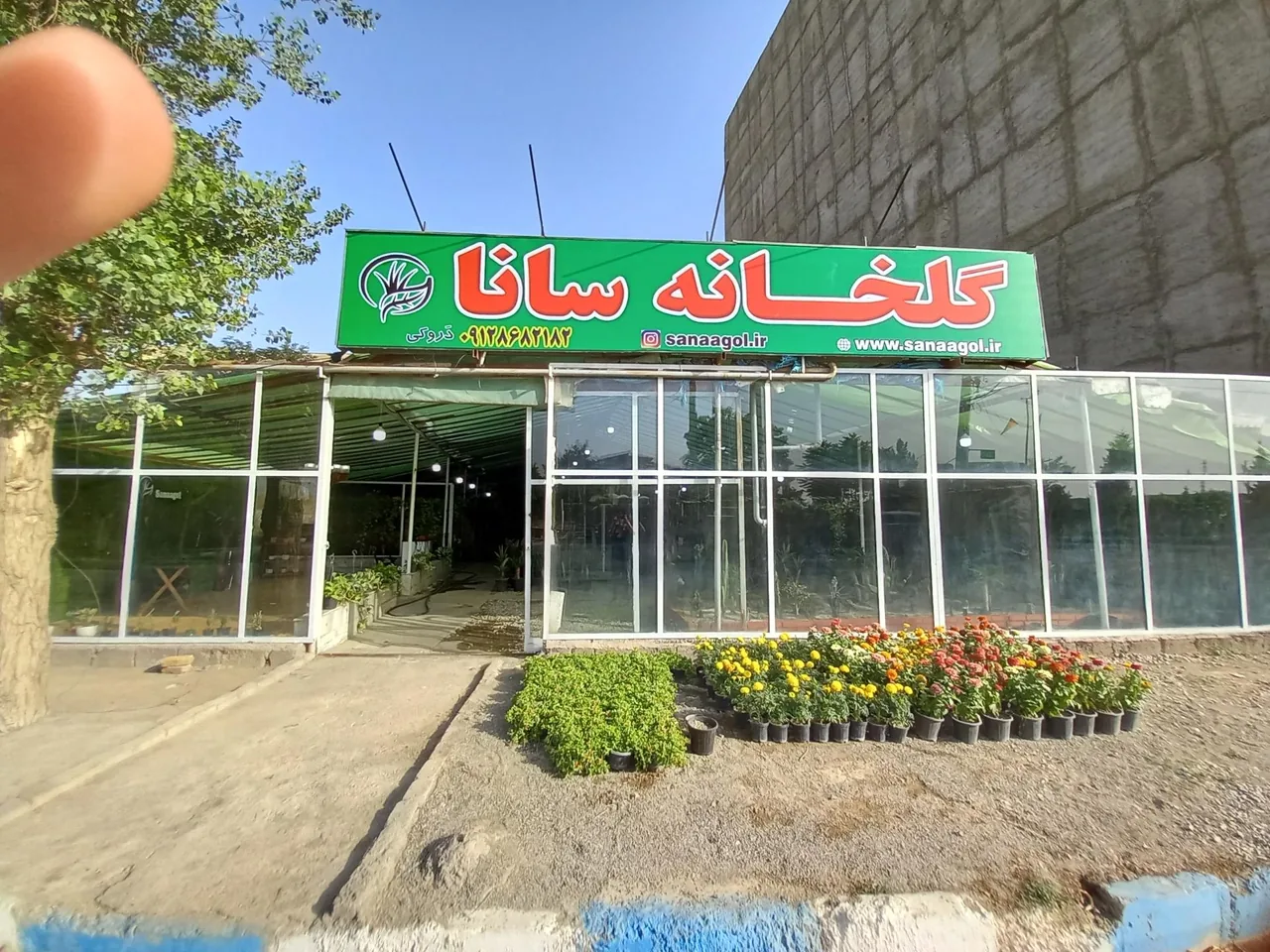 گلخانه سانا گل - تصویر 2