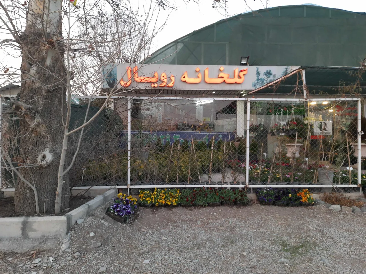نهالستان مهندس حاج حسن ترابی - تصویر 2