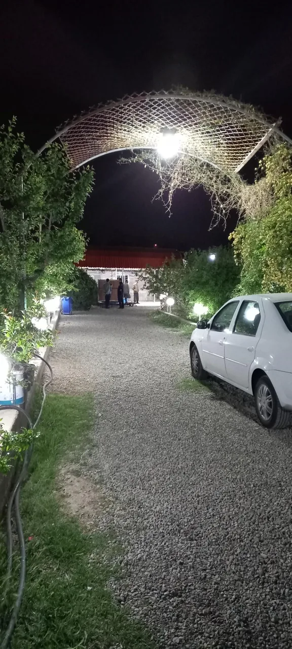 گلخانه کاکتوس میرزا - تصویر 2