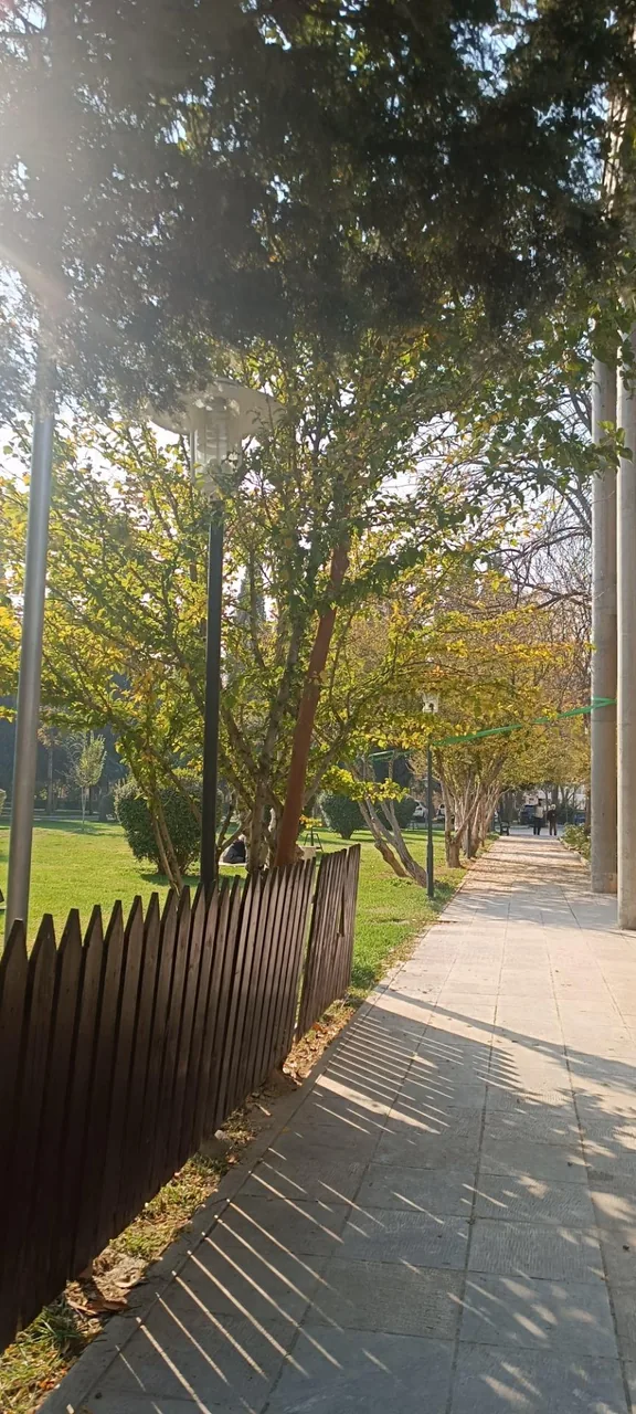 مجموعه ورزشی اداری باشگاه فولاد مبارکه سپاهان - تصویر 4