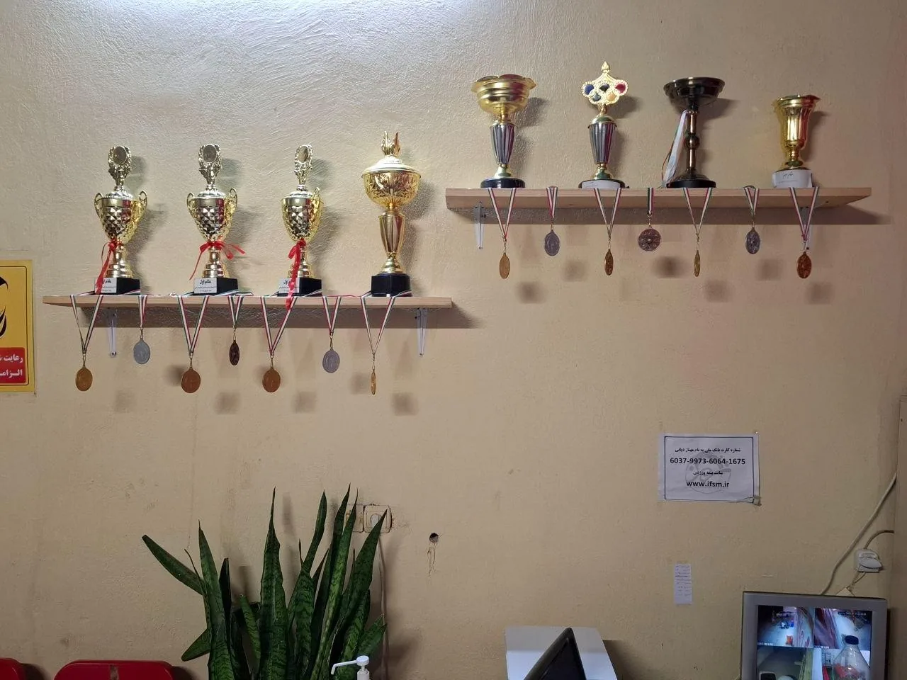 شهر ژیمناستیک اصفهان - تصویر 3