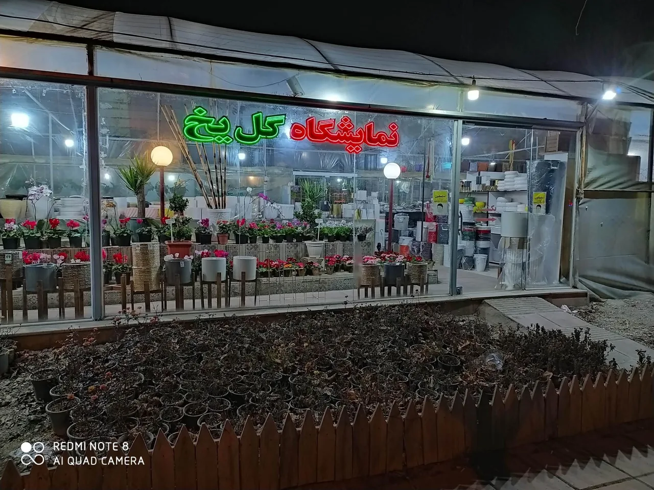 نمایشگاه گل یخ - تصویر 2