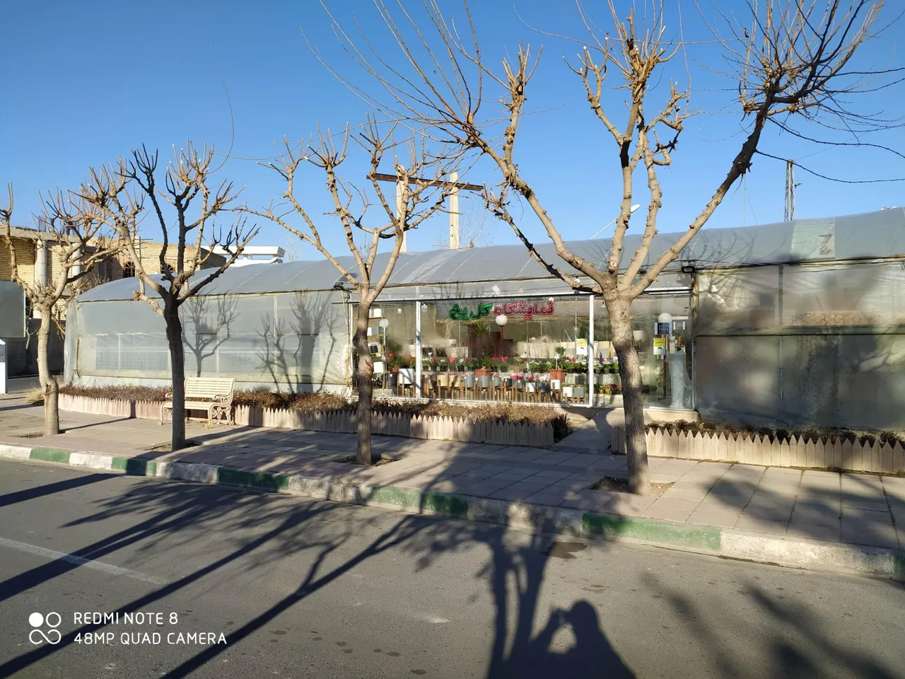 نمایشگاه گل یخ - تصویر 3