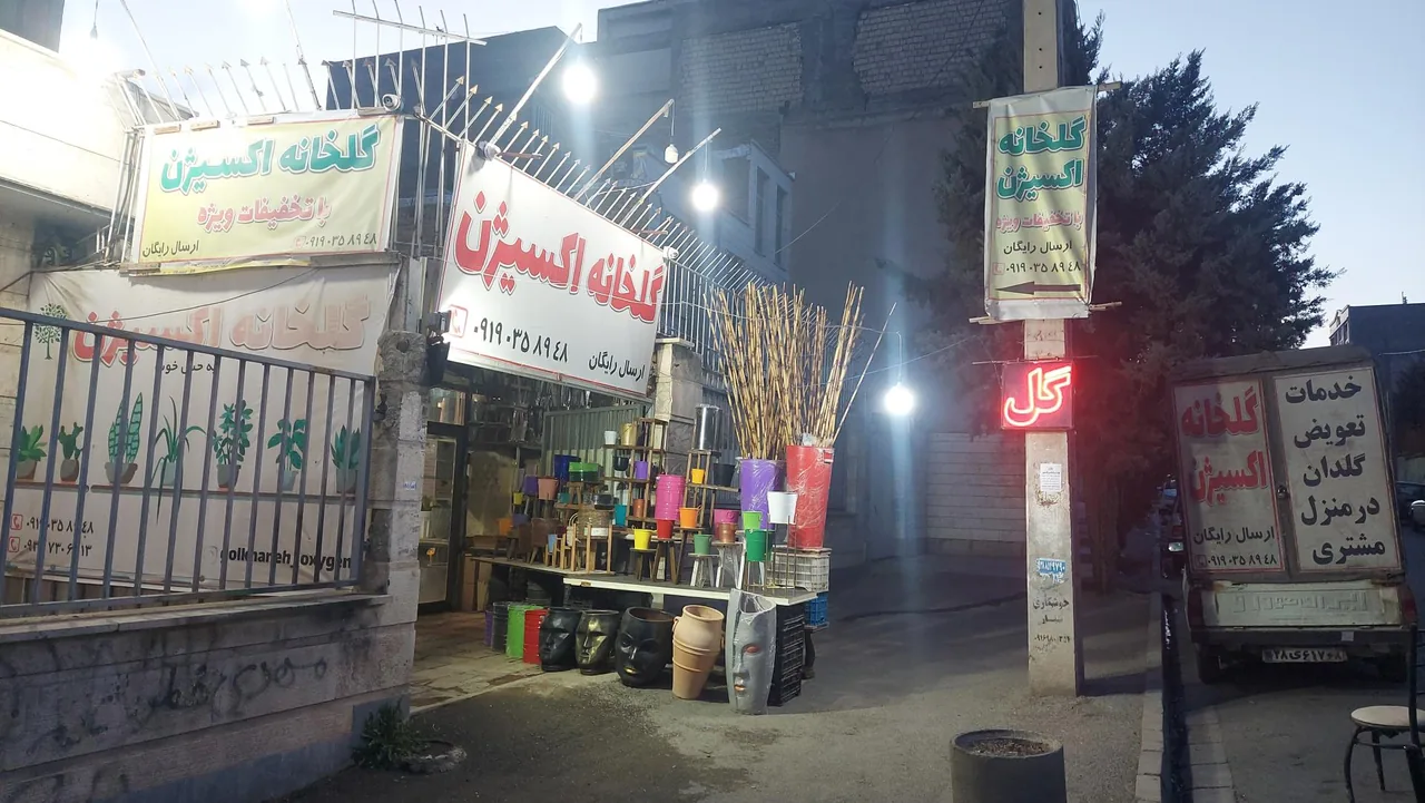 گلخانه اکسیژن - تصویر 2