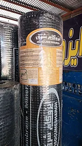 ایزوگام شرق بیرجندی