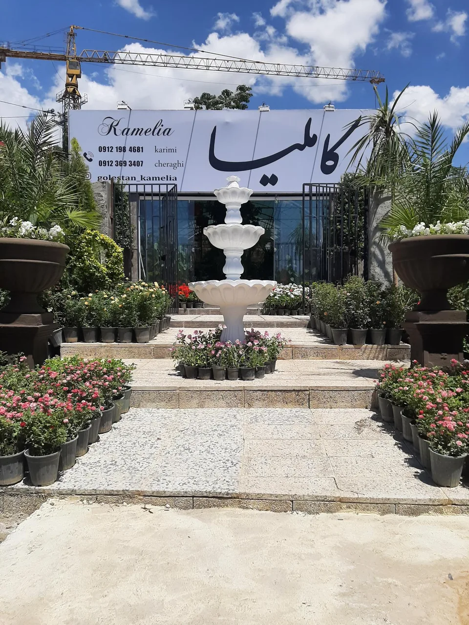 گلستان کاملیا - تصویر 2