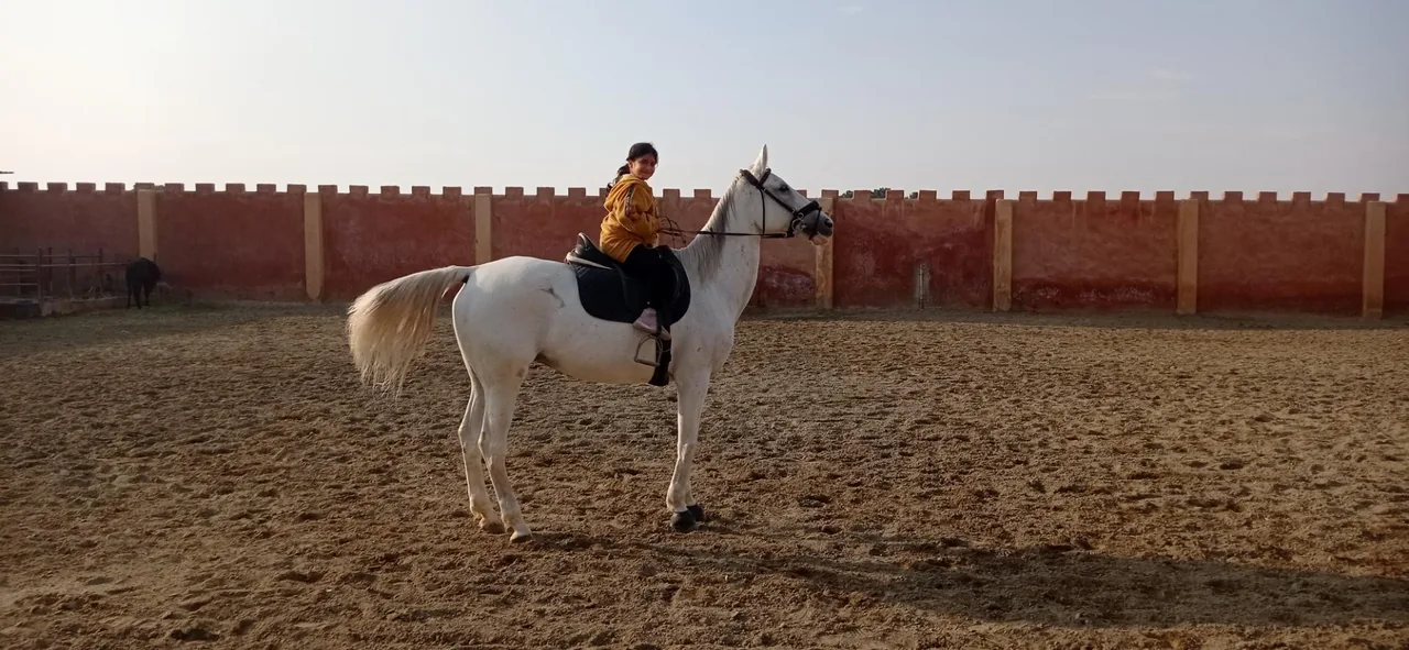 باشگاه اسب سواری نیاوران - تصویر 2